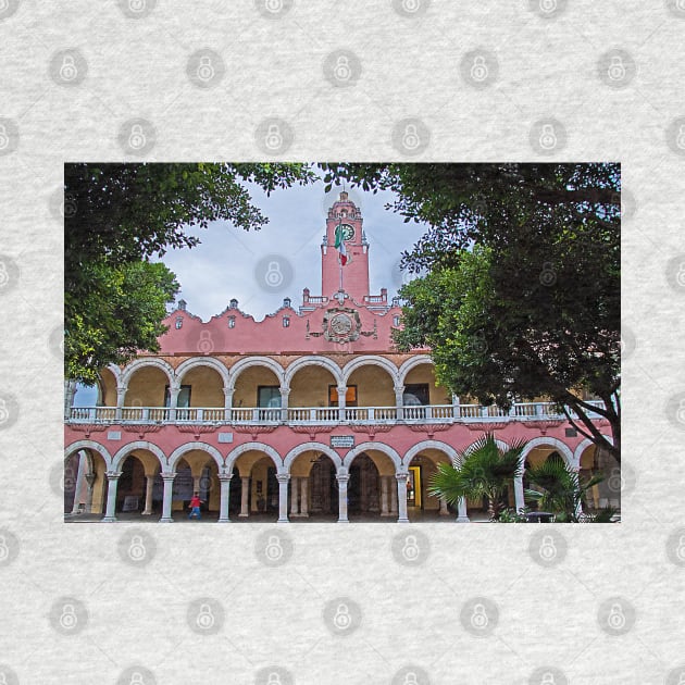 City Hall. Merida. Yucatan. Mexico by vadim19